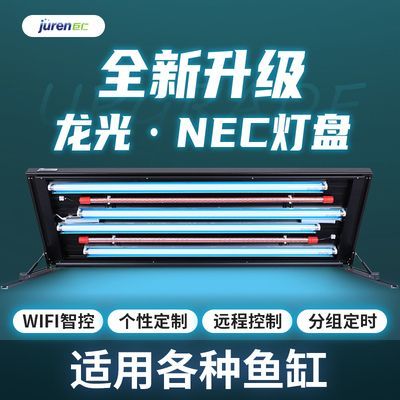 龍魚專用燈架：龍魚專用燈架有哪些優勢 龍魚專用燈架：龍魚專用燈架有哪些優勢 龍魚百科 第3張
