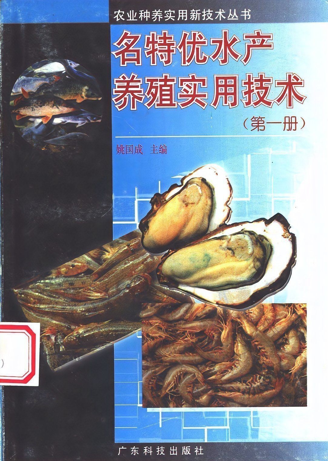 鱖魚的生活習性 鱖魚的生活習性 龍魚百科 第3張