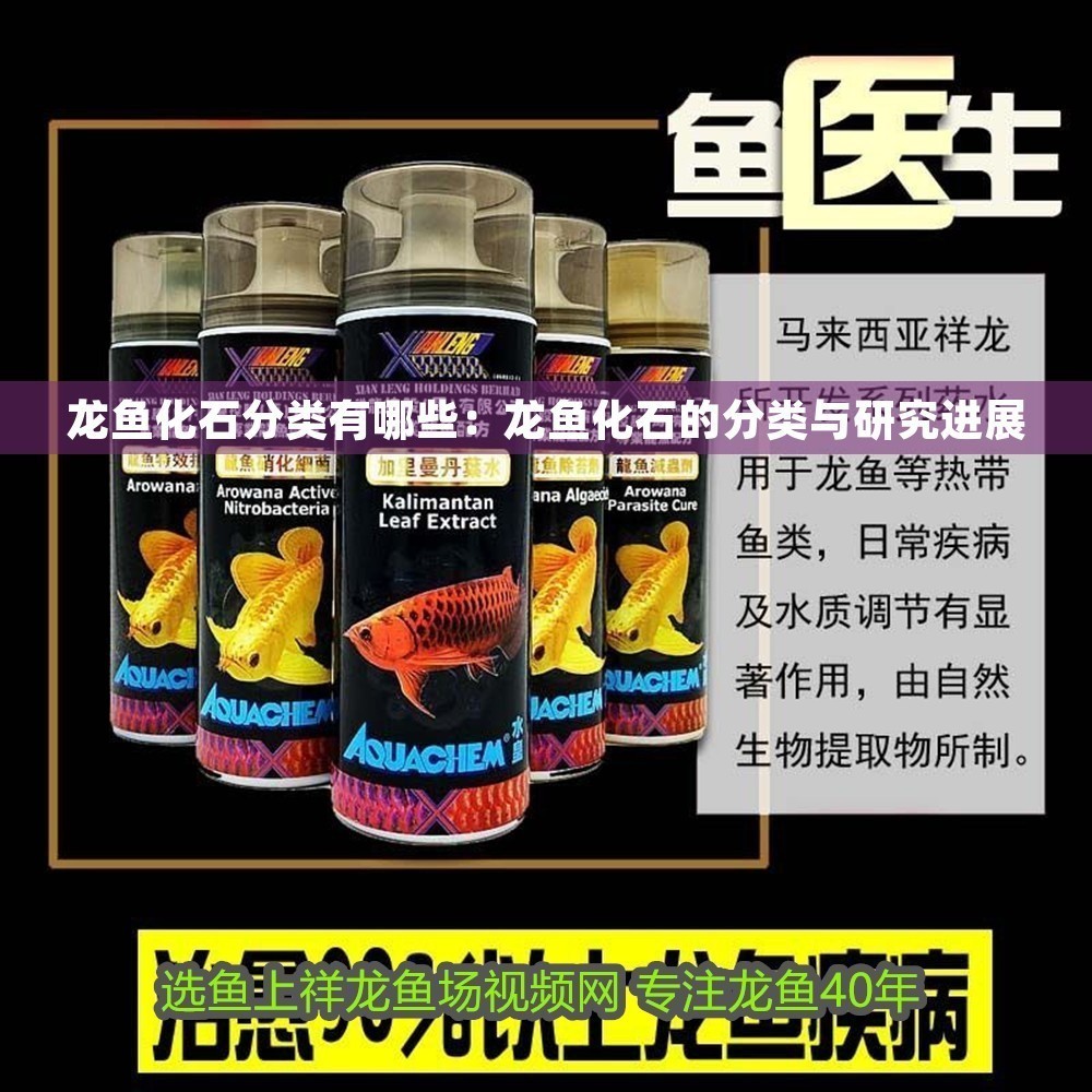 龍魚化石分類有哪些：龍魚化石的分類與研究進展