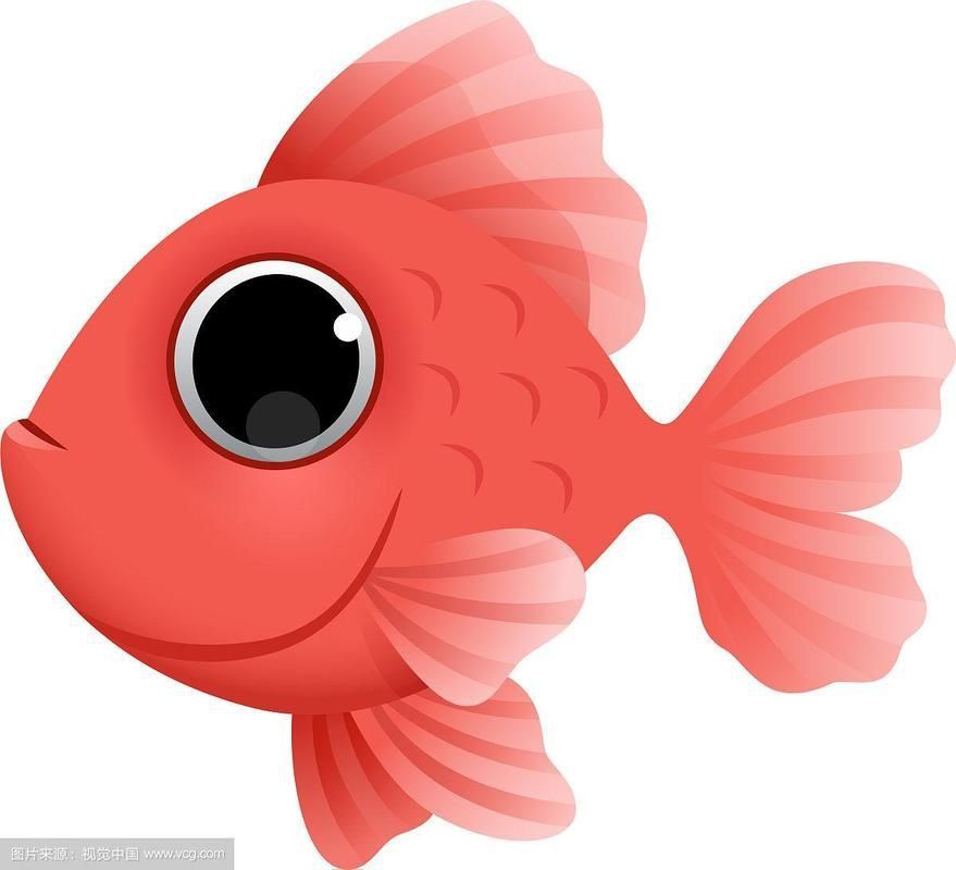 金魚圖片卡通