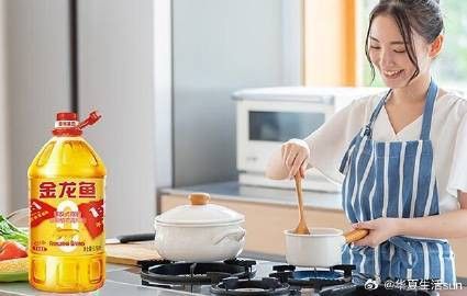 金禾金龍魚哪個(gè)系列性價(jià)比最高？