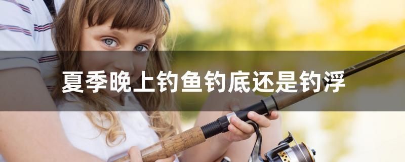 哪里的龍魚最好養，銀龍魚、青龍魚和亞洲白龍魚相對較為好養的龍魚品種