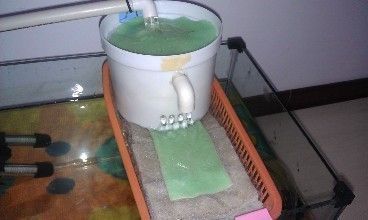 魚缸的水變渾濁了(如何正確使用魚缸凈水劑) 龍魚百科 第5張 魚缸的水變渾濁了(如何正確使用魚缸凈水劑) 魚缸的水變渾濁了(如何正確使用魚缸凈水劑) 龍魚百科 第5張