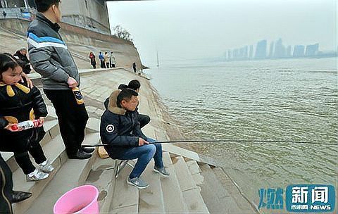 六角恐龍放生有哪些潛在風(fēng)險？ 六角恐龍放生有哪些潛在風(fēng)險？ 龍魚百科 第2張