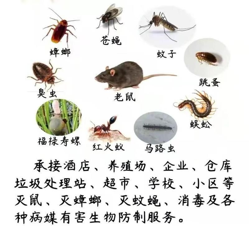 滅鼠公司聯系方式