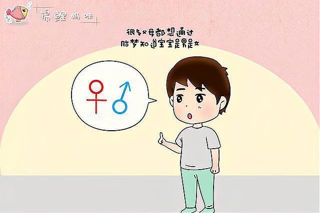 金龍魚(yú)是暗示男生還是女生