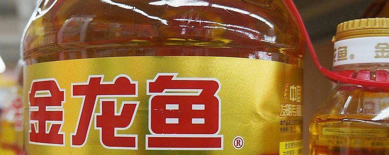 金龍魚(yú)是暗示男生還是女生