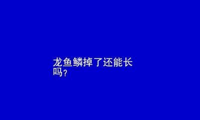 龍魚的魚鱗掉了一個可以恢復(fù)嗎：龍魚的魚鱗掉了一個可以恢復(fù)嗎龍魚的魚鱗掉了一個可以恢復(fù)嗎 龍魚的魚鱗掉了一個可以恢復(fù)嗎：龍魚的魚鱗掉了一個可以恢復(fù)嗎龍魚的魚鱗掉了一個可以恢復(fù)嗎 龍魚百科 第1張