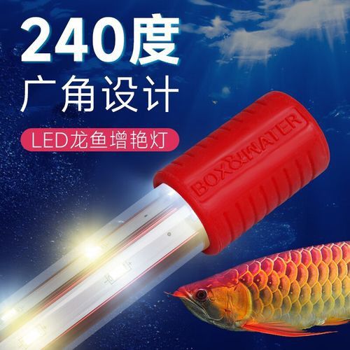 如何選擇適合紅龍的照明設備 如何選擇適合紅龍的照明設備 龍魚百科 第5張