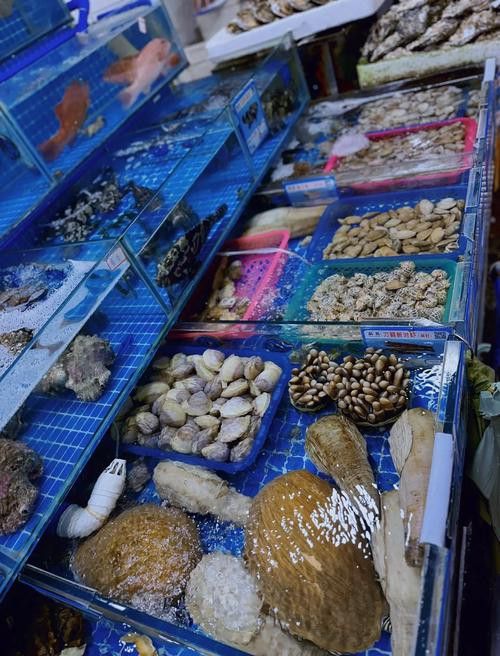 海南過江龍魚多少錢