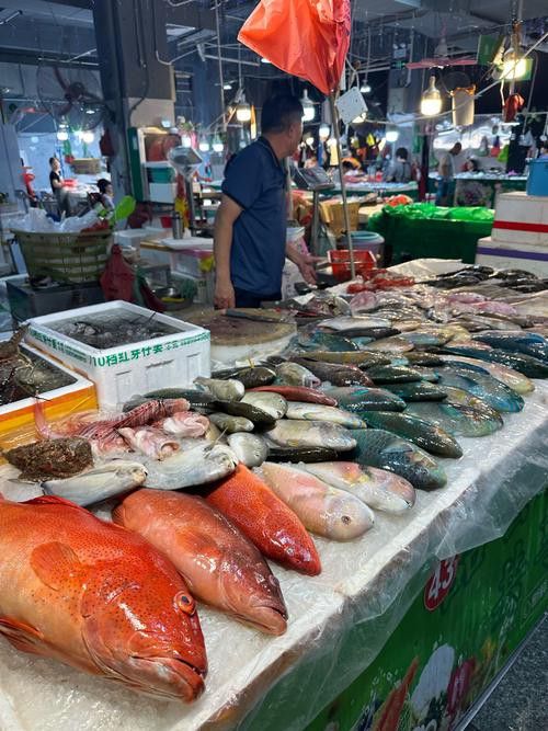 海南過江龍魚多少錢
