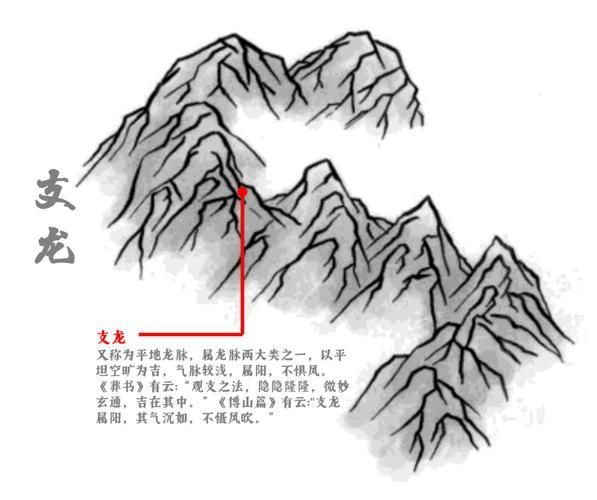 風水生龍圖片大全大圖高清