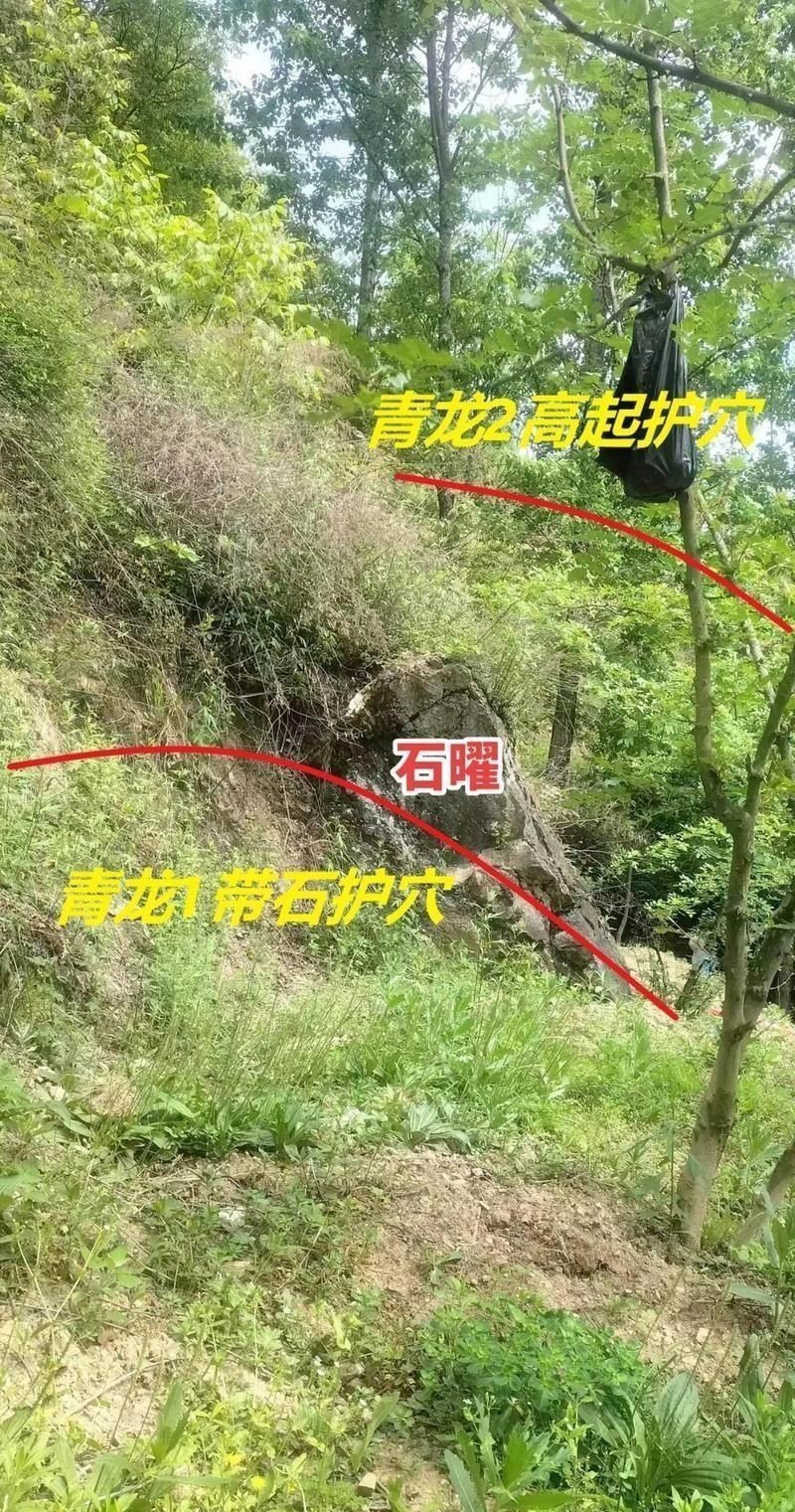 風水生龍圖片大全大圖高清