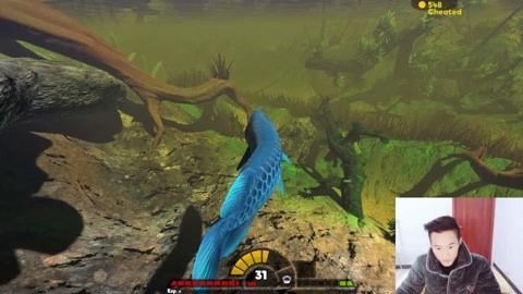 龍魚沒有氧氣能堅持多久：龍魚在沒有氧氣的情況下能堅持多久，龍魚能堅持多久