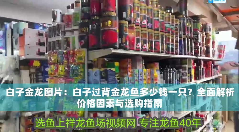 白子金龍圖片：白子過背金龍魚多少錢一只？全面解析價格因素與選購指南