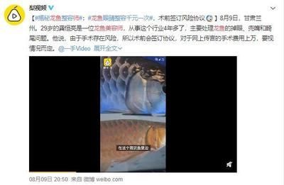 龍魚(yú)掉眼怎么看品相圖解：如何通過(guò)品相圖解來(lái)判斷龍魚(yú)掉眼的好壞