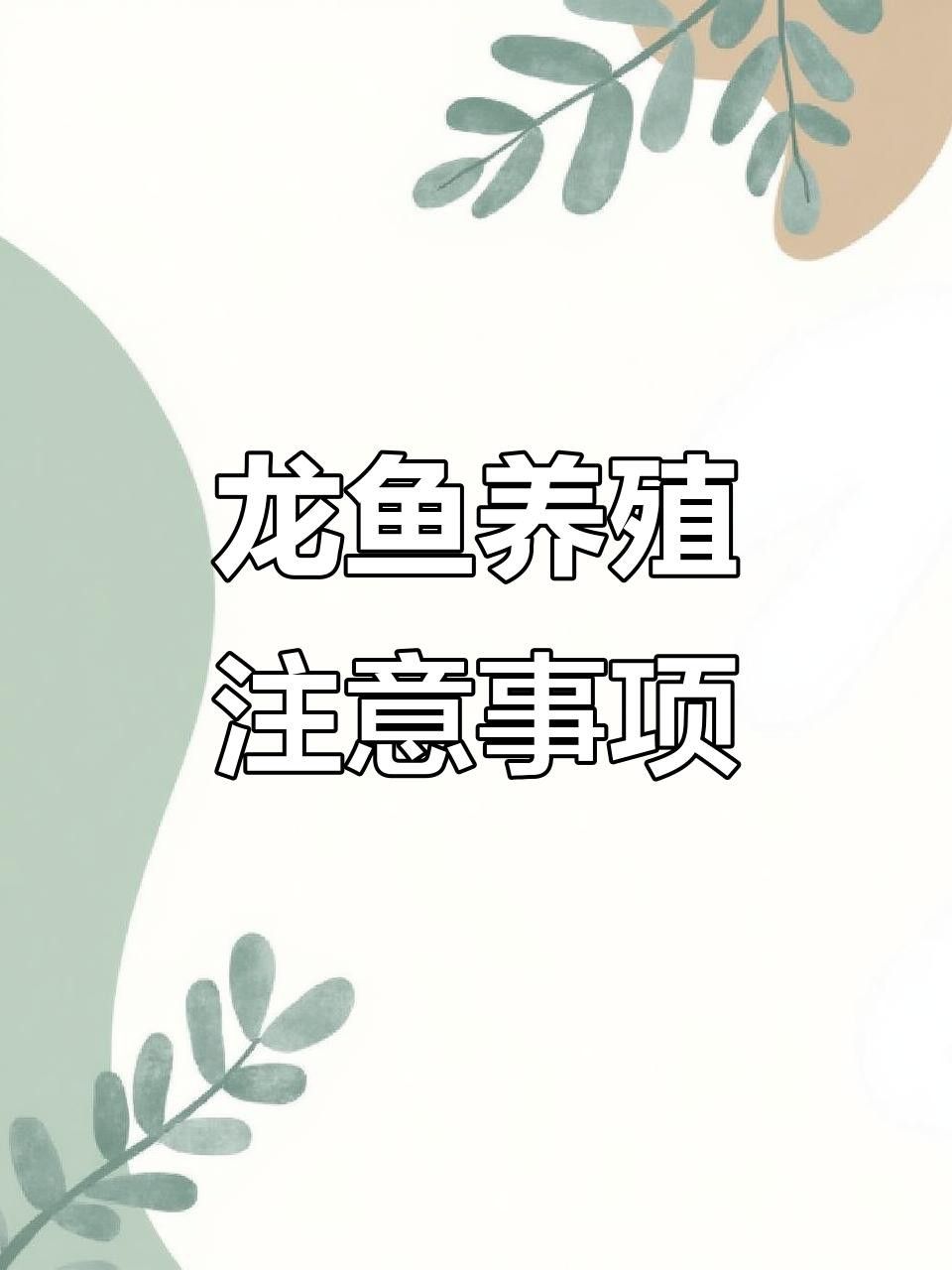 龍魚飼養需要多久換一次水？ 龍魚飼養需要多久換一次水？ 龍魚百科 第3張