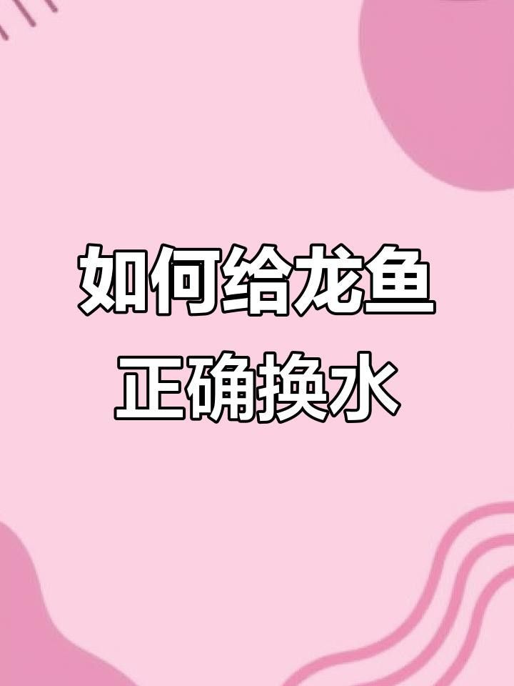 龍魚飼養需要多久換一次水？ 龍魚飼養需要多久換一次水？ 龍魚百科 第7張