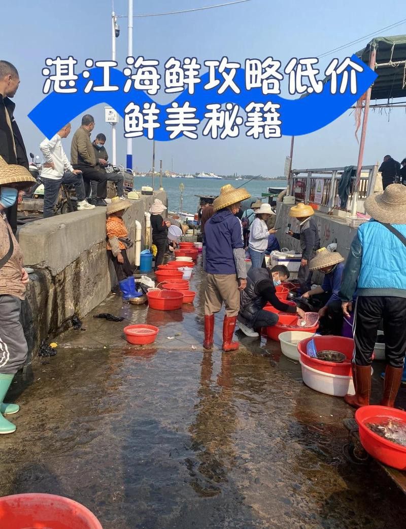 湛江龍魚批發市場在哪里啊 湛江龍魚批發市場在哪里啊 龍魚百科 第1張