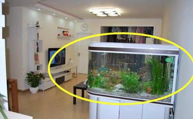 紅龍魚怎么喂食視頻教程全集圖片（紅龍魚怎么喂食視頻教程全集圖片大全） 紅龍魚怎么喂食視頻教程全集圖片（紅龍魚怎么喂食視頻教程全集圖片大全） 龍魚百科