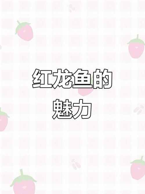 香港龍魚價格表圖片最新 香港龍魚價格表圖片最新 龍魚百科 第19張