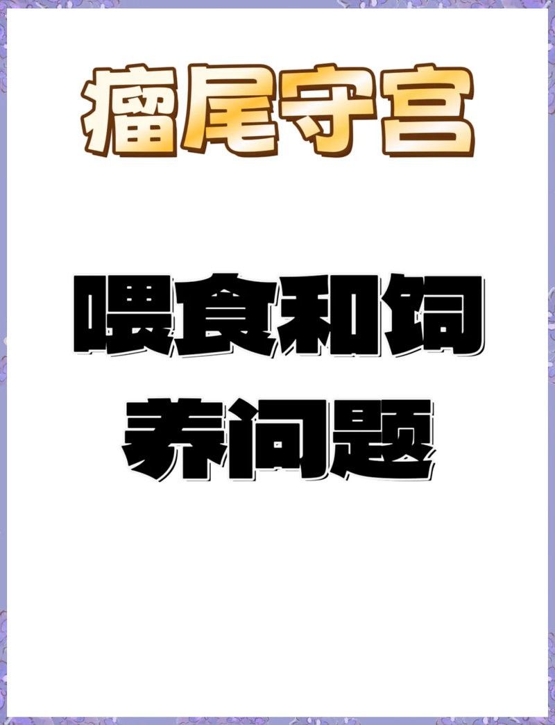 硬殼類昆蟲多久喂一次合適？
