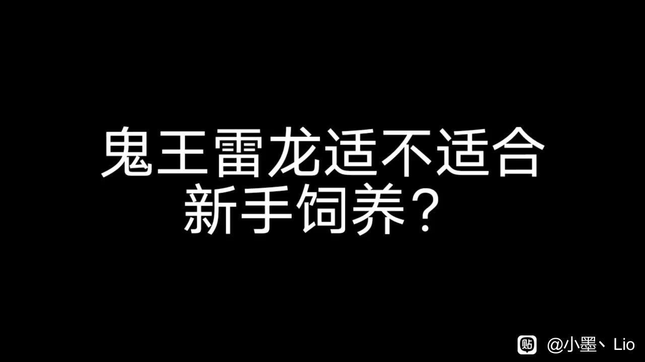 鬼王雷龍的價格是多少