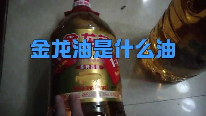 金禾金龍魚有哪些產品系列？ 金禾金龍魚有哪些產品系列？ 龍魚百科 第6張