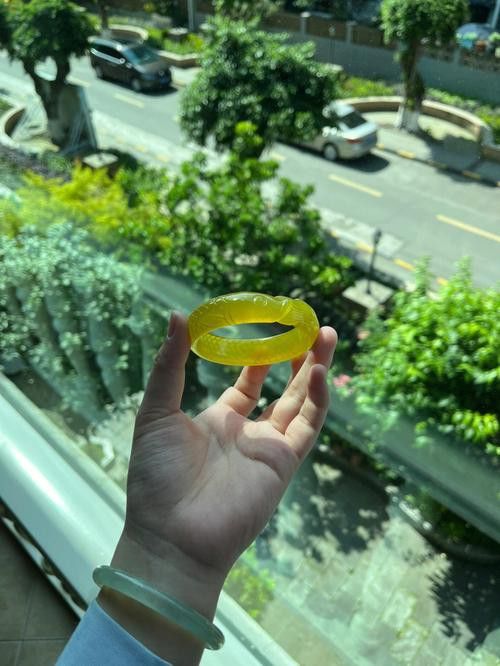 老鳳祥金龍魚
