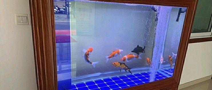 歐泊龍魚缸