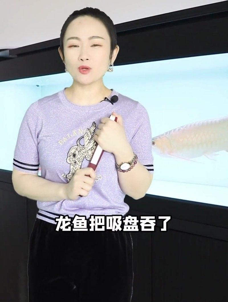 龍魚吞了硬物怎么辦