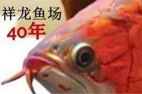 馬來(lái)西亞祥龍漁場(chǎng)官網(wǎng)