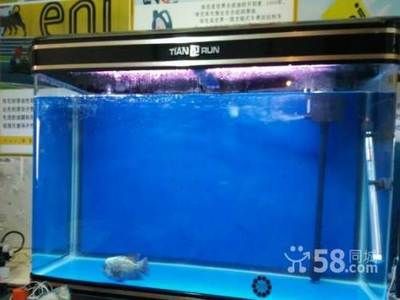 祥龍金禾金龍魚批發：祥龍金禾金龍魚批發以及相關貨源基地 祥龍金禾金龍魚批發：祥龍金禾金龍魚批發以及相關貨源基地 龍魚百科 第1張