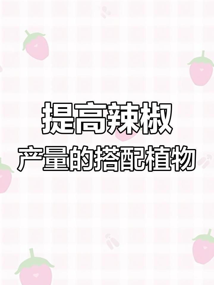 辣椒挨著什么種最好
