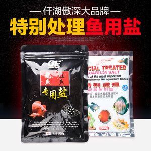 龍魚爛鰭爛尾：如何判斷龍魚是否患病，龍魚日常護理要點有哪些