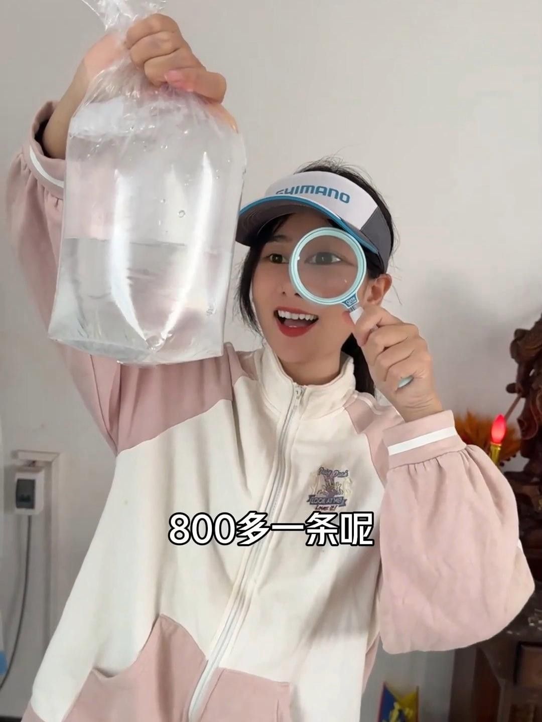 短身龍魚(yú)有哪些繁殖難點(diǎn)？ 短身龍魚(yú)有哪些繁殖難點(diǎn)？ 龍魚(yú)百科 第1張