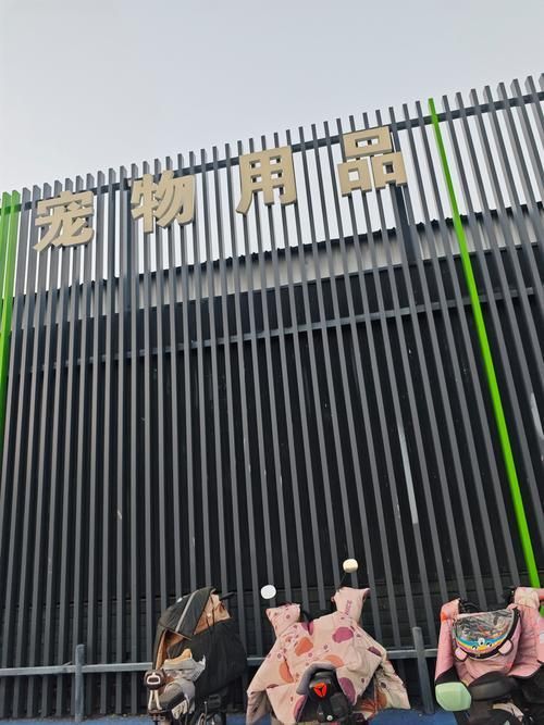 遼陽萬隆花鳥魚市場圖片 遼陽萬隆花鳥魚市場圖片 龍魚百科 第19張
