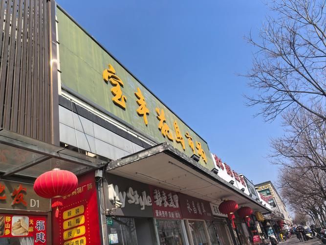遼陽萬隆花鳥魚市場圖片 遼陽萬隆花鳥魚市場圖片 龍魚百科 第16張