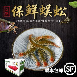龍魚吃蜈蚣多久會(huì)發(fā)色正常：龍魚吃蜈蚣多久會(huì)發(fā)色