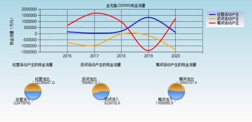 龍魚水流量大還是小（養(yǎng)龍魚的過程中，選擇合適的水流量是非常重要的）