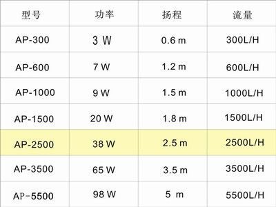龍魚水流量大還是小（養(yǎng)龍魚的過程中，選擇合適的水流量是非常重要的）