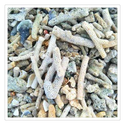 其他品牌魚缸批發：2024年魚缸十大品牌排行榜