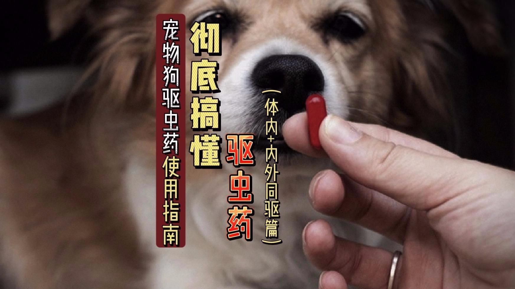 有哪些常見的驅蟲藥物？