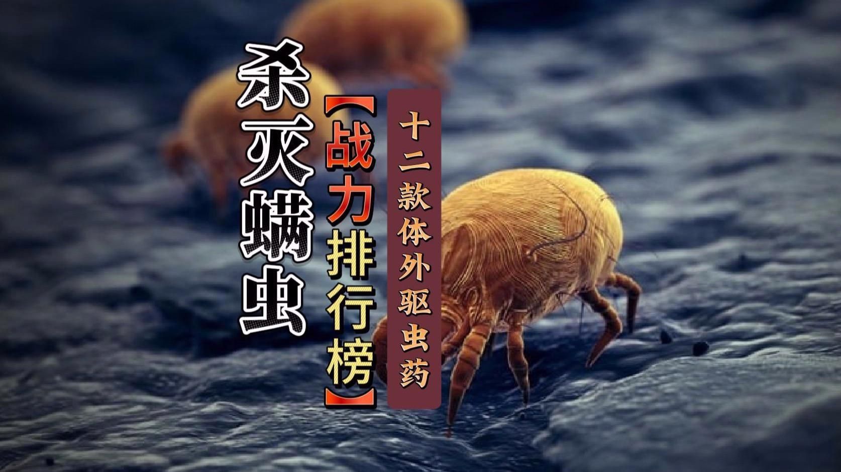 有哪些常見的驅蟲藥物？