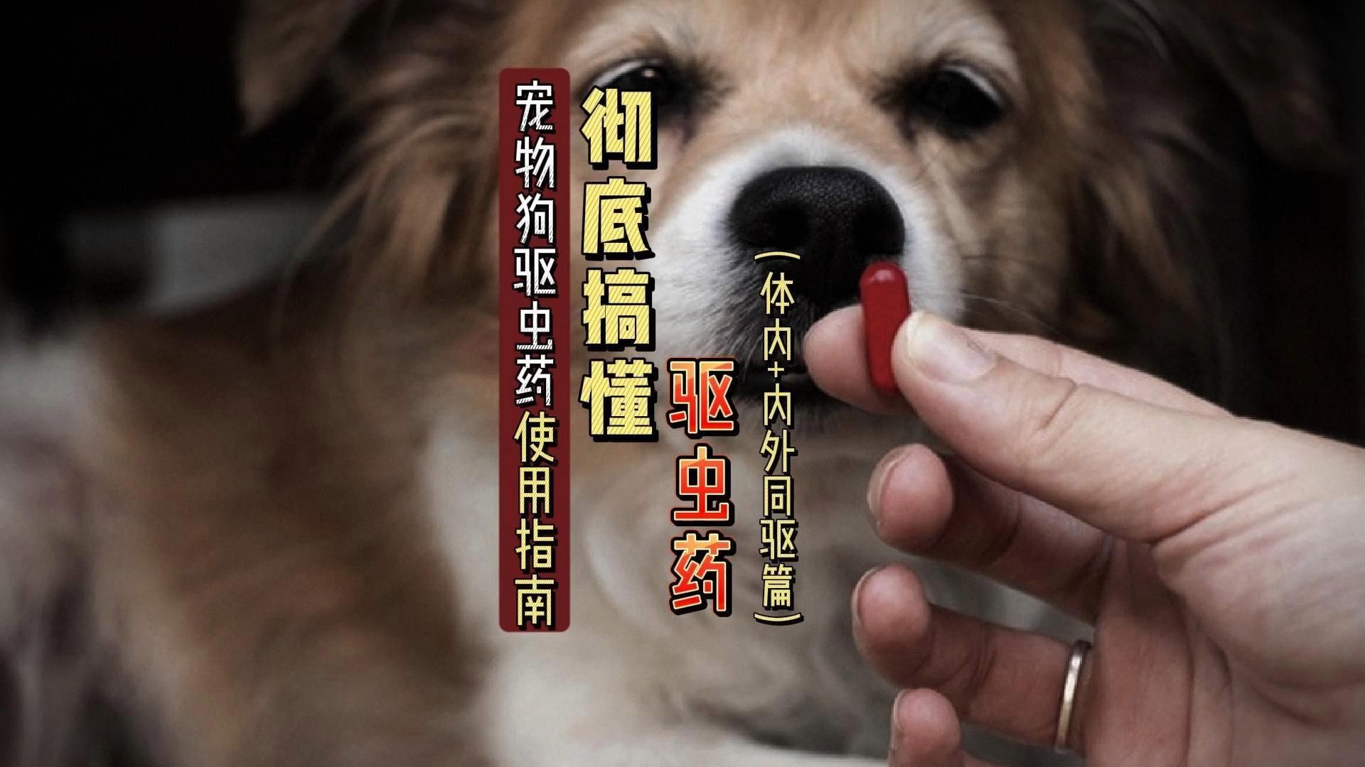 有哪些常見的驅蟲藥物？