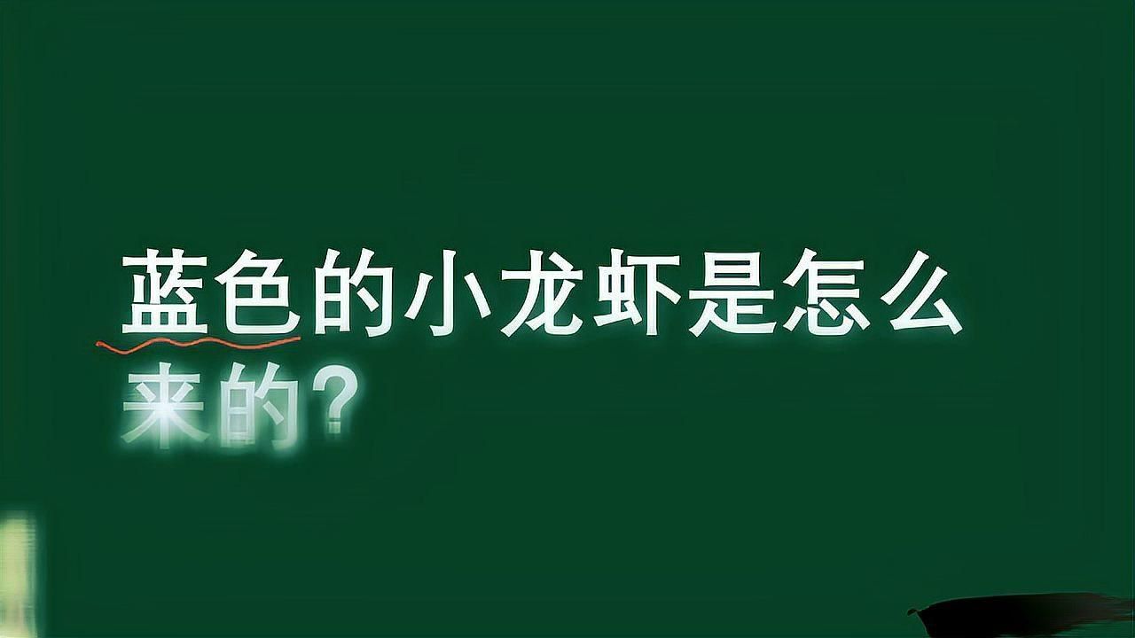 藍龍龍蝦