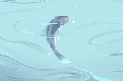 養(yǎng)龍魚10大忌：養(yǎng)龍魚時需要注意的十大忌諱