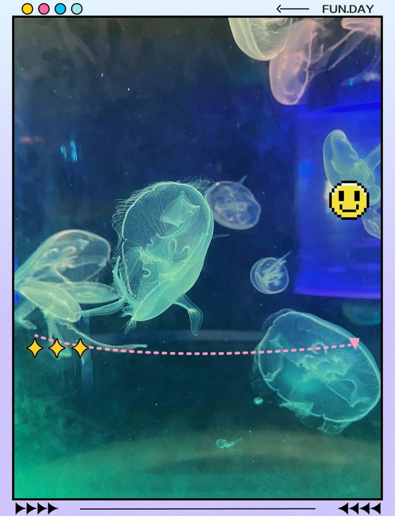 蘇州龍魚水族館怎么樣好玩嗎值得去嗎