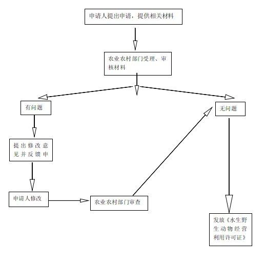 交易野生紅龍魚需要哪些具體文件