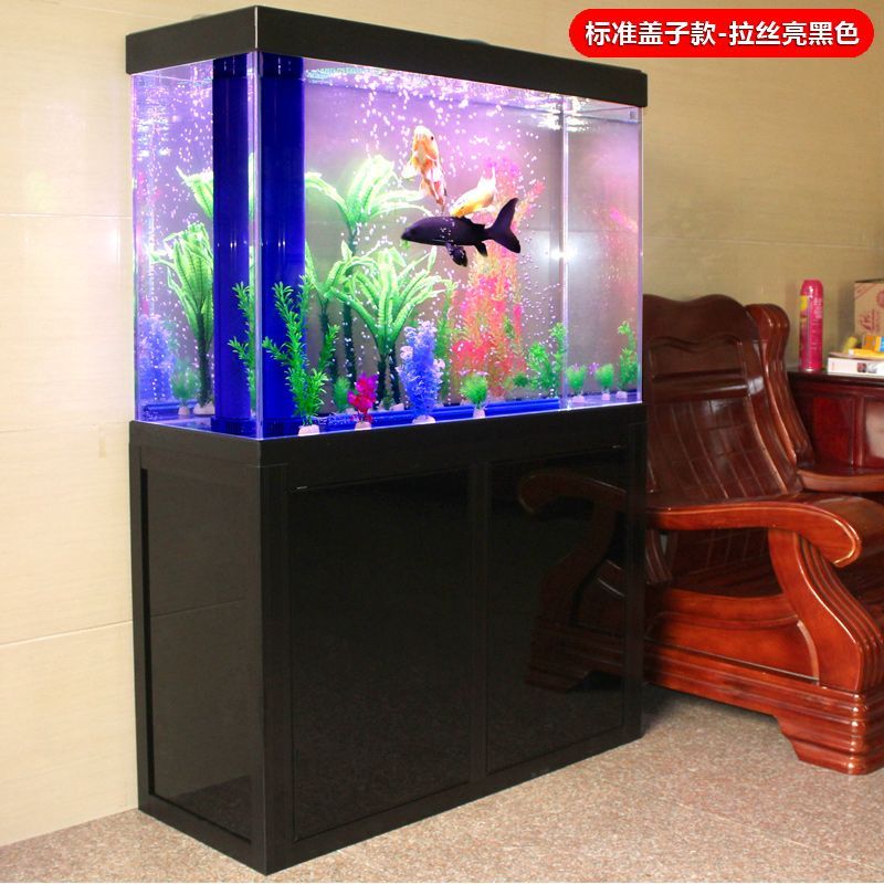 龍魚燈光的擺放位置（如何選擇龍魚缸的燈光）